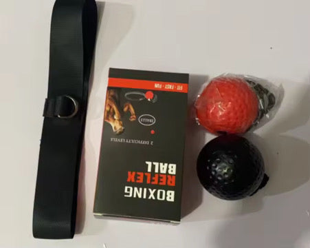 Boxing Reflex Ball