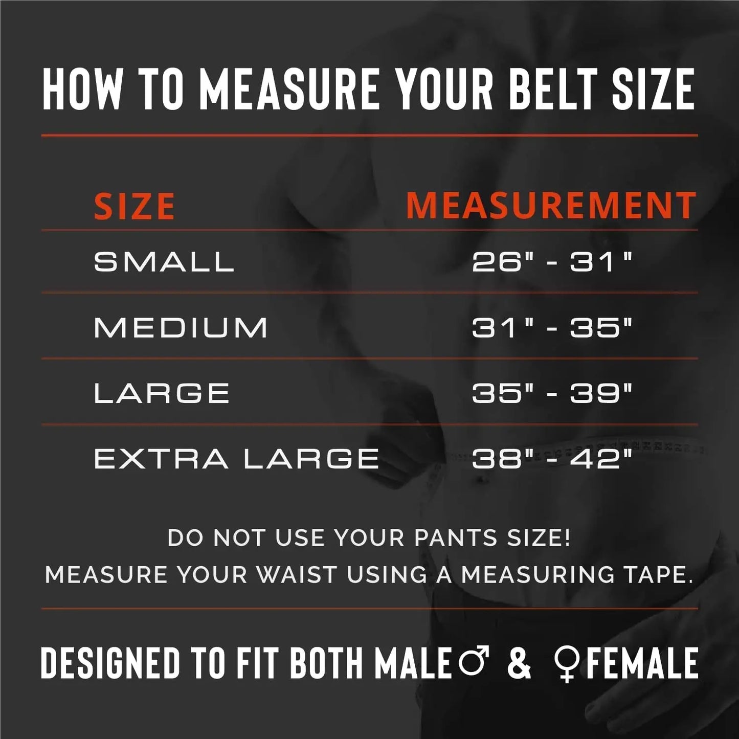 Weight Lifting Belt Back Support Workout Belt with Metal Buckle for Men Women Gym Squats Deadlifts Powerlifting Cross Training
